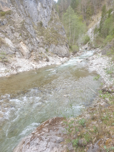 Revierbild vom Weißenbach in Reutte